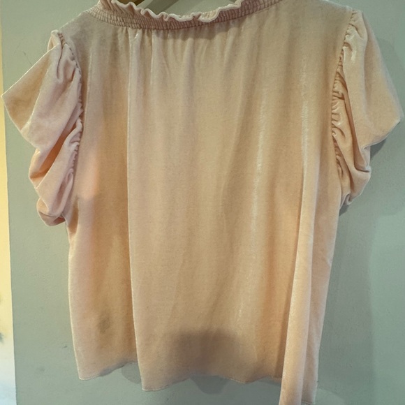 Free People Terese Velour Ruffle Sleeve Top in Pink Tint Size M - Picture 11 of 11